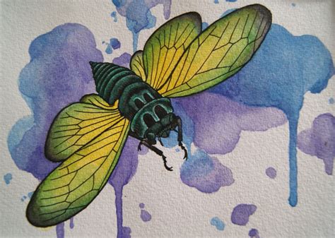 Watercolour Cicada Artwork Painting Watercolor