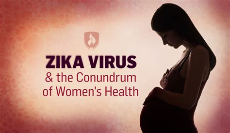 The Zika Virus And The Conundrum Of Womens Health Rasmussen University