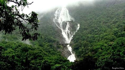 Monsoons In Goa The Top Reason For You To Be Living Here Goa