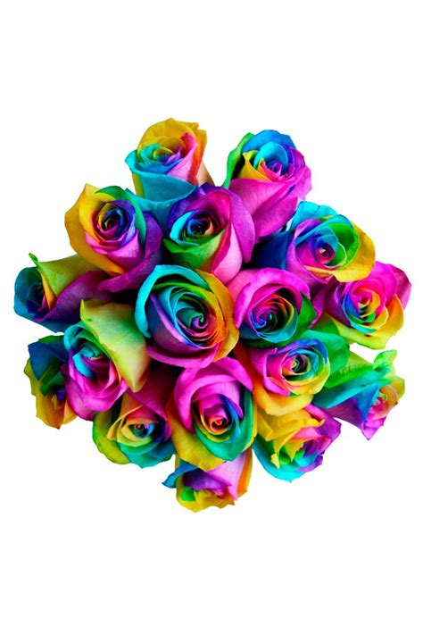 Rainbow Roses — Pike Place Flowers
