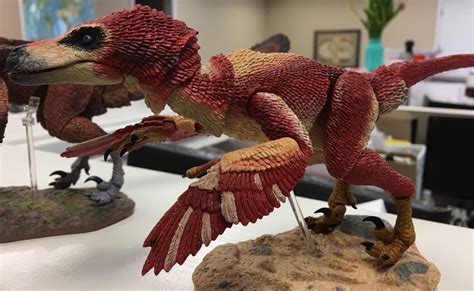 Beasts Of The Mesozoic Raptor Series The Fwoosh