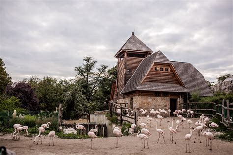 The Budapest Zoo And Botanical Garden Turns 150 Years Old