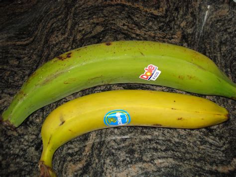 Cómo preparar plátano macho frito. Cómo cocinar plátanos machos - Taringa!