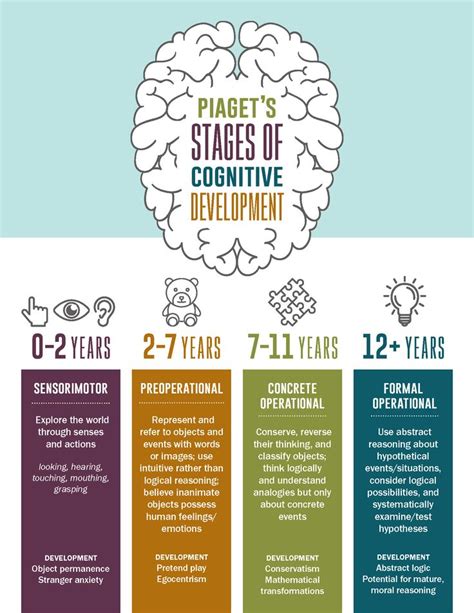 Piagets Four Stages Of Cognitive Development Infographic Cognitive