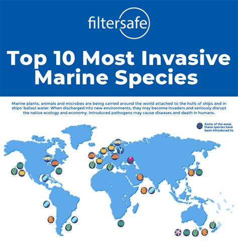 10 Most Invasive Marine Species Filtersafe