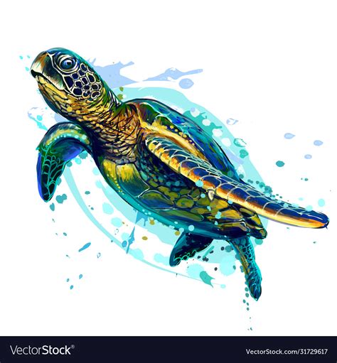 Sea Turtle Realistic Artistic Colored Drawing Vector Image
