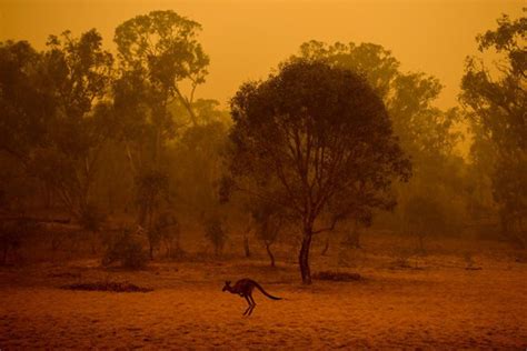 Bushfires And Climate Change
