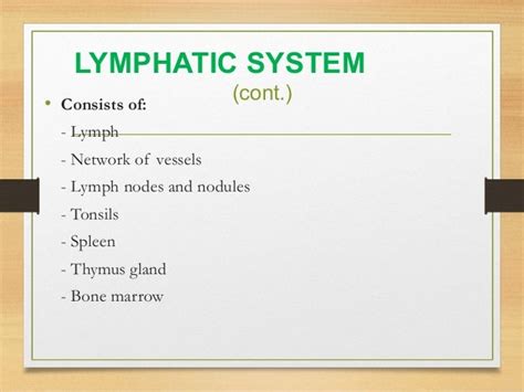 Lymphatic System Ppt