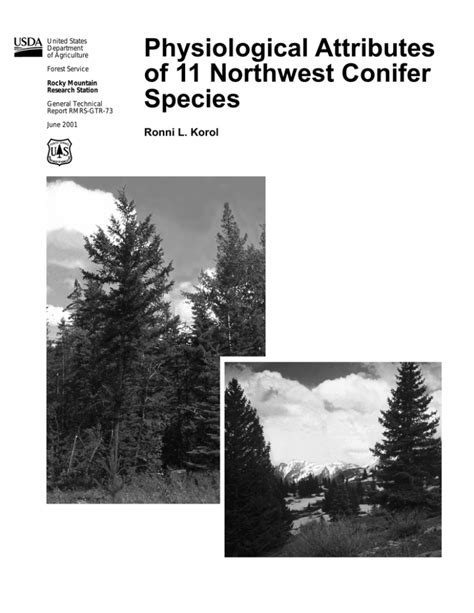 Physiological Attributes Of 11 Northwest Conifer Species Ronni L Korol