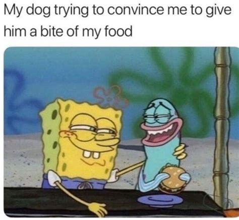The best selection of royalty free background blue boy vector art, graphics and stock illustrations. He's a good boy - Meme by Backgrounds :) Memedroid