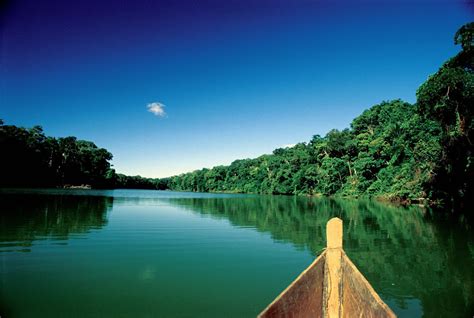 Visita La Selva Peruana Un Destino Maravilloso Y Ecoturistico