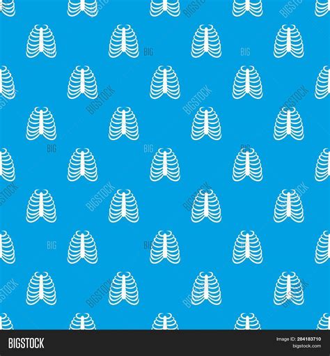 Van wikipedia, de gratis encyclopedie. Rib Cage Pattern Image & Photo (Free Trial) | Bigstock
