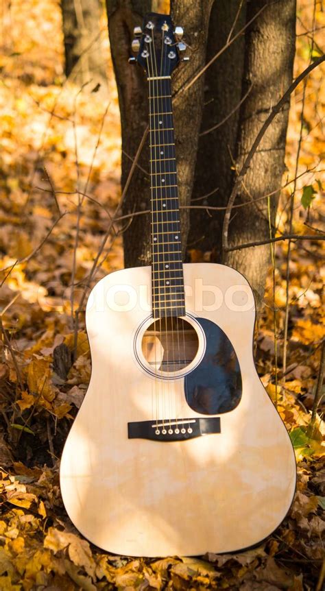 Guitar Stock Image Colourbox