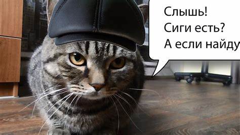 Бросил курить толстею как похудеть