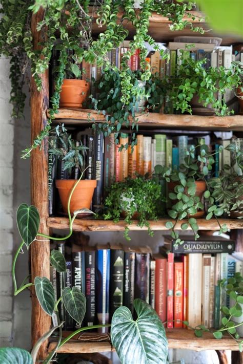 Book garden houses apartments, venice on tripadvisor: Living with 670 Plants in a Brooklyn Apartment | Apartment ...