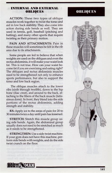 Abdominal Muscles | John The Bodyman