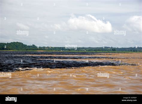 The Confluence Of The Amazon River And The Rio Negro At Manaus Brazil