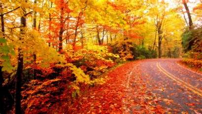 Autumn Season Wallpapers Fall Leaves Pretty Gorgeous