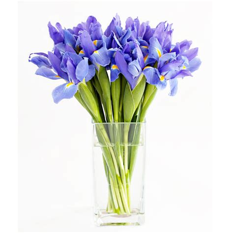 October wedding flowers in season. Flowers in Season: May | BridalGuide