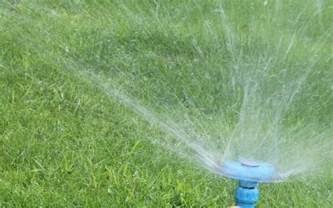 Watering Your Lawn Keep Water Wise With These Great Tips Lawn Care Plus