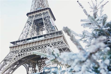 Christmas Tree Covered With Snow Near Eiffel Tower Stock Photo