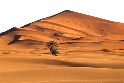 Sand Dunes Png Free Logo Image