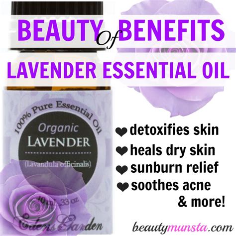 4.use of lavender essential oil as a hair serum. Lavender Essential Oil Benefits for Hair, Skin & More ...