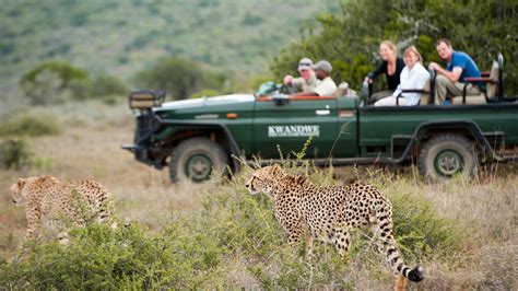 Safari Game Drive In The Eastern Cape Kwande Andbeyond