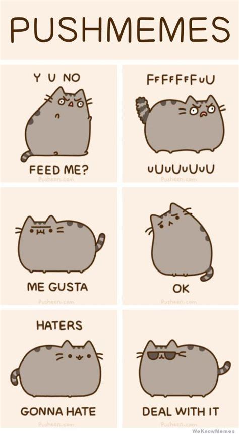 Cat memes are always in style. Image - 387455 | Pusheen | Know Your Meme