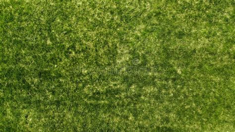 Aerial Green Grass Texture Background Natural Turf Stock Photo