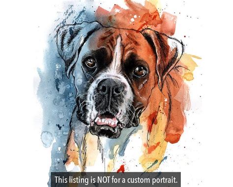 Boxer Dog Art Print Of Original Watercolor Painting By Suzanne Etsy