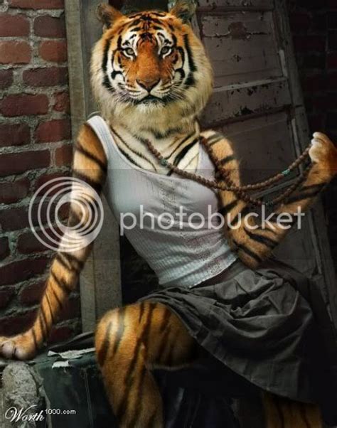 Tiger Sexy Photo By Jimmyeightysix Photobucket