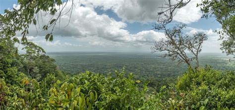 Ecotourism In Guyana Iwokrama Forest Part 2 Livingdreamstv