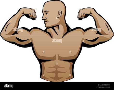 Muscular Powerful Stock Vector Images Alamy