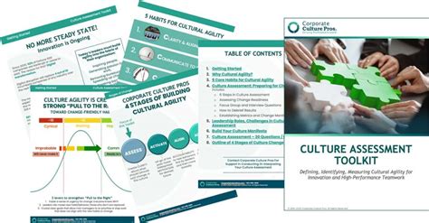Cultural Assessment Tools Corporate Culture Consulting