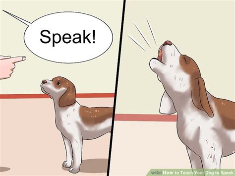 Different dog trainers and owners have varying techniques, but the basic methods explained below work for many dogs. 4 Ways to Teach Your Dog to Speak - wikiHow