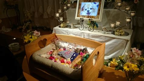 メモリアルホールでご家族だけでお別れ会｜ペット葬儀・ペット火葬