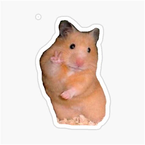 Hamster Peace Sign Meme Sticker For Sale By Valwerty Redbubble