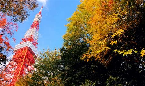 ,best autumn spots in tokyo,best place to see autumn leaves in tokyo