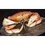 Cannundrums Dungeness Crab