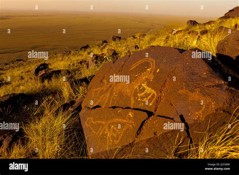 Ancient Petroglyphs 7000 Bc Havtsgait Valley Gobi Desert Mongolia