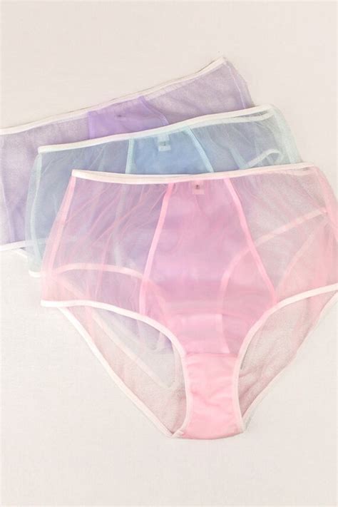 Sheer Knickers High Waisted Pink Knickers Blue Knickers