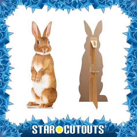 Cute Bunny Rabbit Lifesize Cardboard Cutout Standee Cutouts