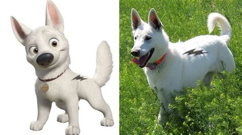 Top 9 Dog Cartoon Characters In Real Life Endless Awesome