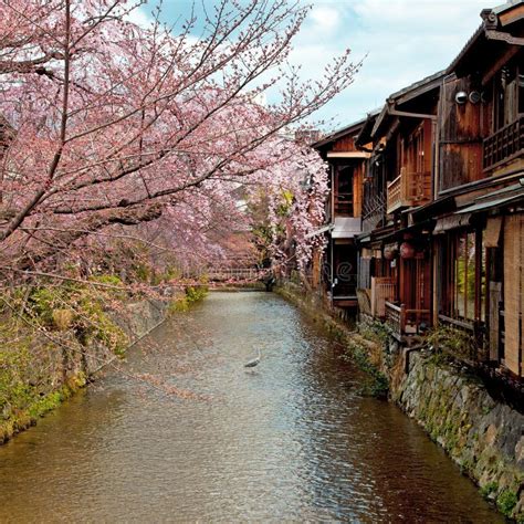 Gion In Kyoto Japan Stock Image Image Of Vacation Sakura 34793511