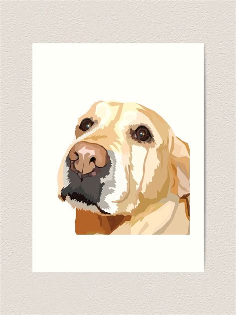 Yellow Lab Art Print For Sale By Aecdesign Redbubble