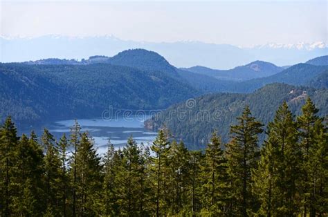 Landscape Of The Sea Bay Surrounded By Mountains And Coniferous Forest