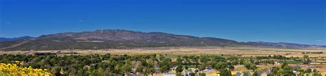 Call pest off pest control for southern utah's best pest and rodent control. Rid your home of pests with our experience and pest ...