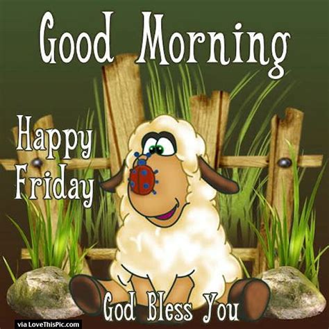 God Bless You Good Morning Friday Pictures Photos And Images For