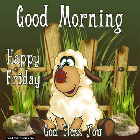 You can have fun all year long friday means peace of mind, long sleep, all day naps, some good food and a joyous weekend ahead. God Bless You Good Morning Friday Pictures, Photos, and ...